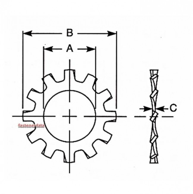 Fastenerdata Inch External Toothed Heavy Shakeproof Washer Spring