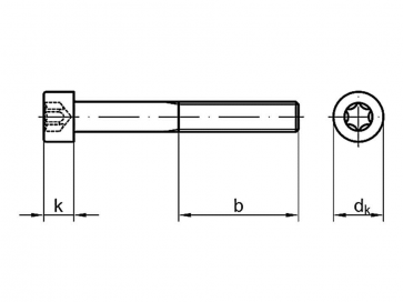 Metric Coarse Torx Socket Cap Screw Stainless-Steel-A2 ISO14579