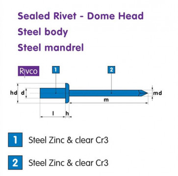 Rivco Sealed Rivet Dome Head Steel Body Steel Mandel SSEAL