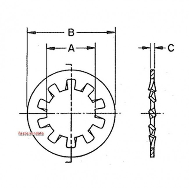 Fastenerdata Inch Internal Toothed Shakeproof Washer Stainless Steel