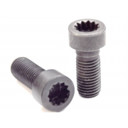 Metric Coarse 12 Point Socket Screw Stainless-Steel-A4 DIN34821