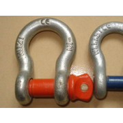 Inch D Shackles Large Bow with A Pin Steel BS3032T3