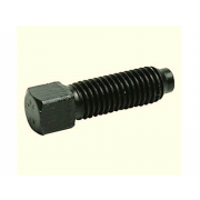 Metric Coarse Square Head Bolt with Dog Point Grade-8.8 DIN479