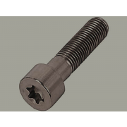 Metric Coarse Torx Socket Cap Screw Grade-12.9 ISO14579