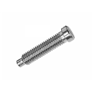Metric Coarse Slotted Small Cheese Head Screw with Dog Point Grade-5.8 DIN922