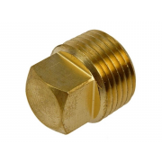 Metric External Square Head Pipe Plug Brass