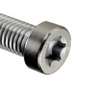 Metric Coarse Torx Low Head Socket Cap Screw Steel ISO14580