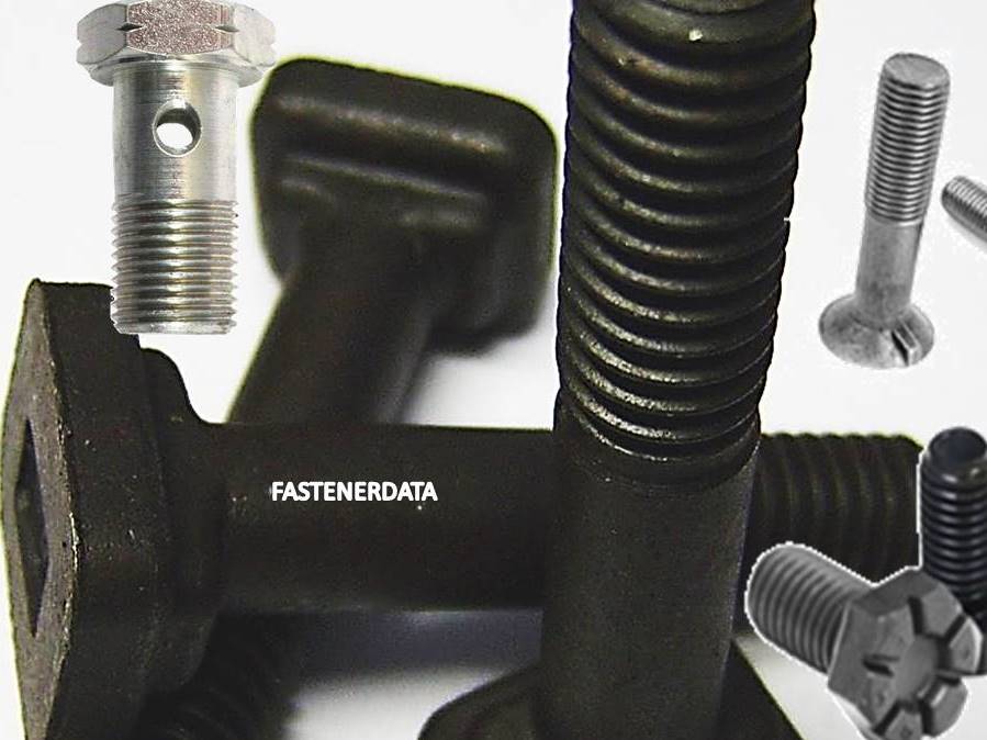 BOLT FAMILY BOLT FAMILY